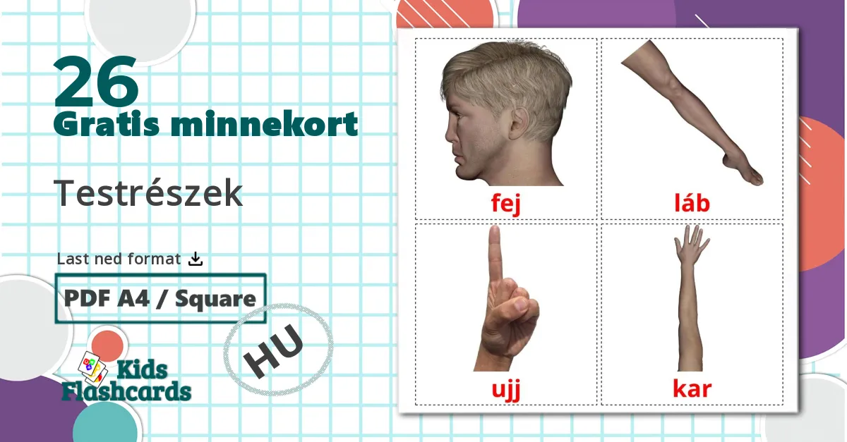 26 Testrészek bildekort