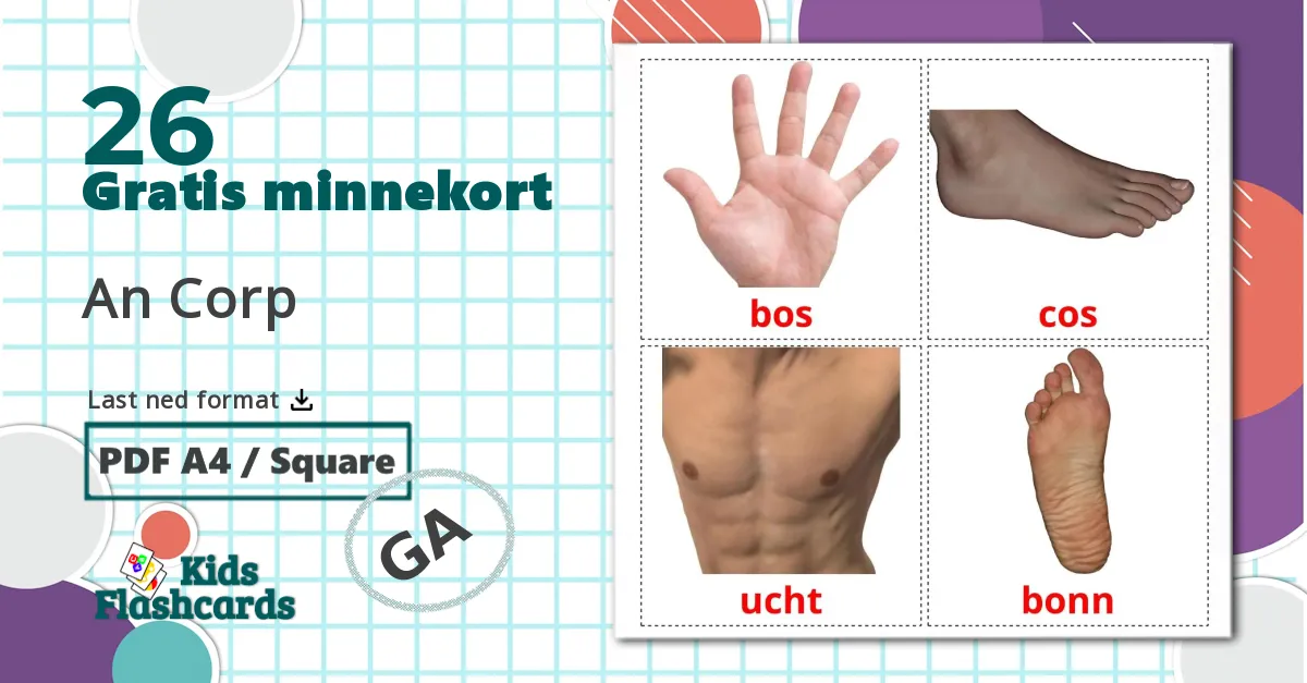 26 Kroppsdeler bildekort