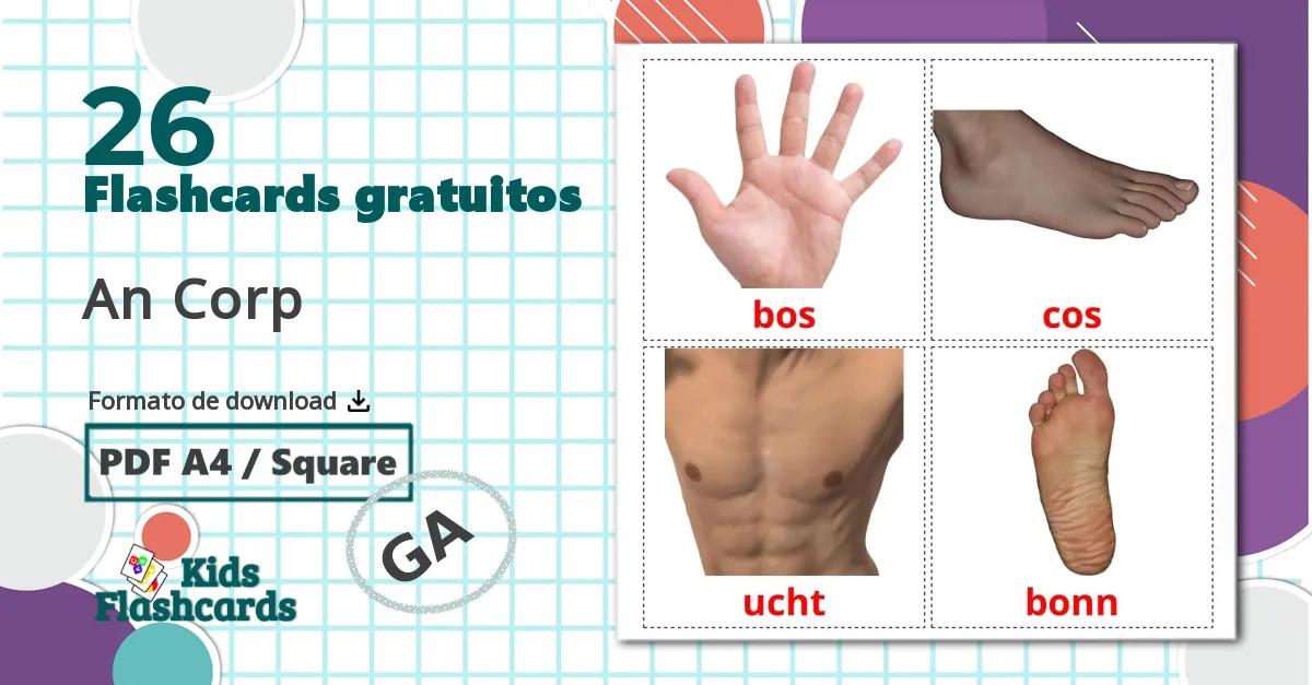 26 Flashcards de Partes do Corpo