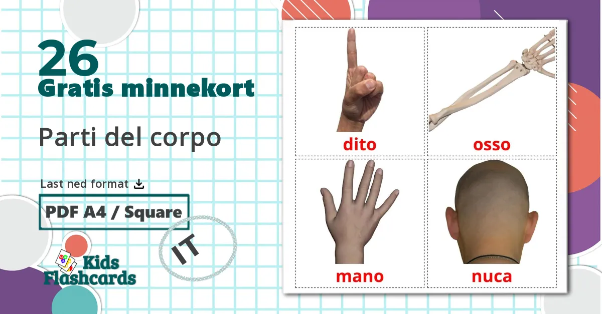26 Parti del corpo bildekort