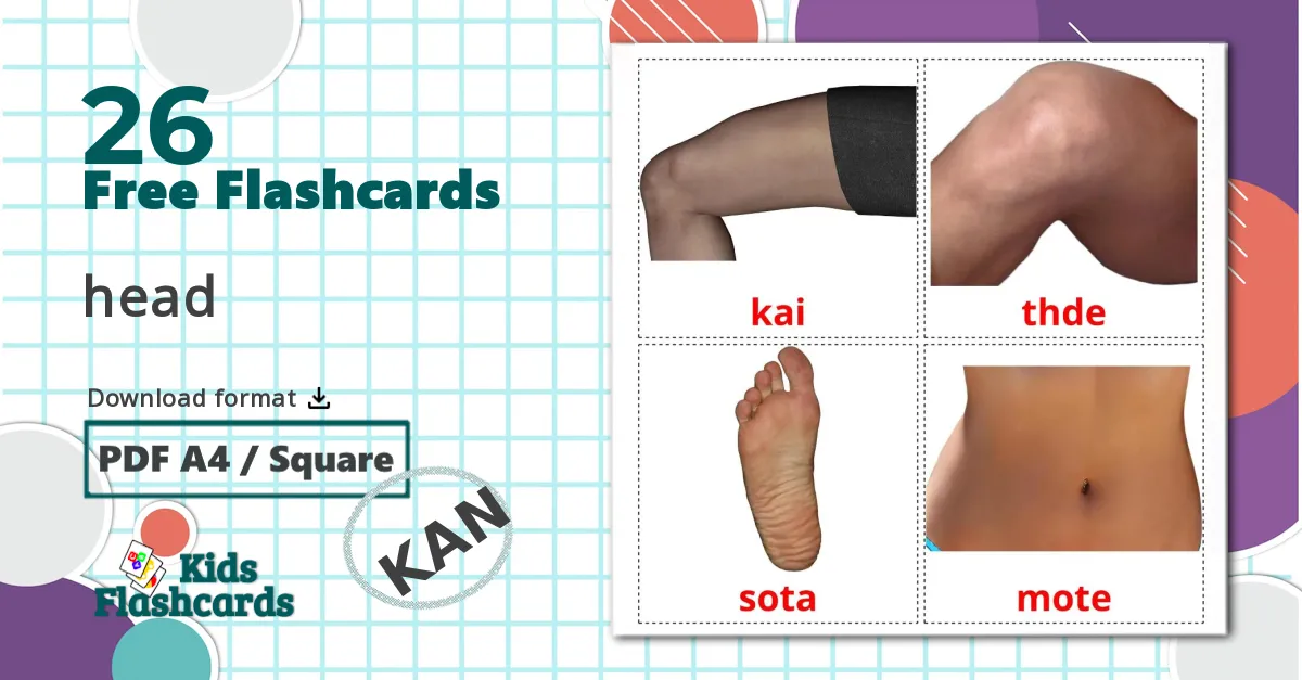 26 Body Parts flashcards