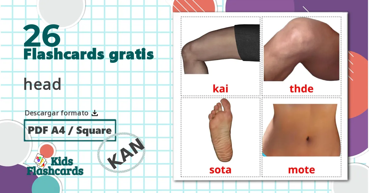 26 tarjetas didacticas de Body Parts