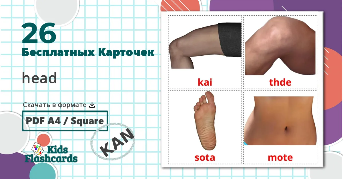 26 Карточки Домана Части тела