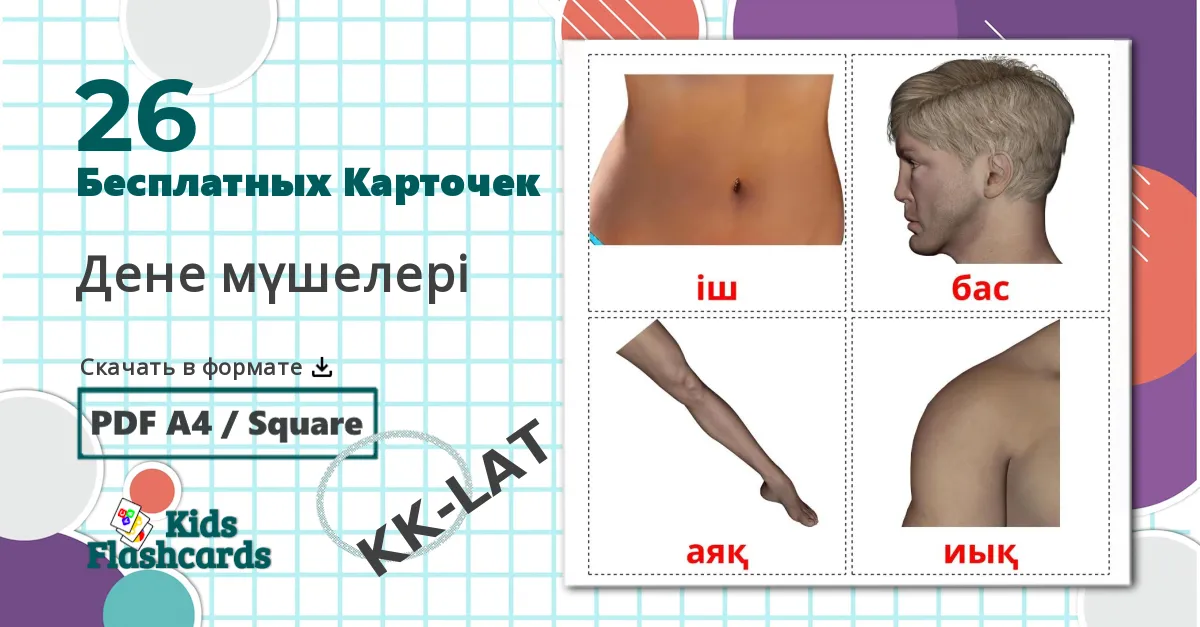 26 Мотоциклы flashcards