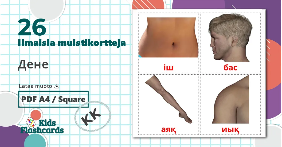 26 Дене lasten kuvakortit