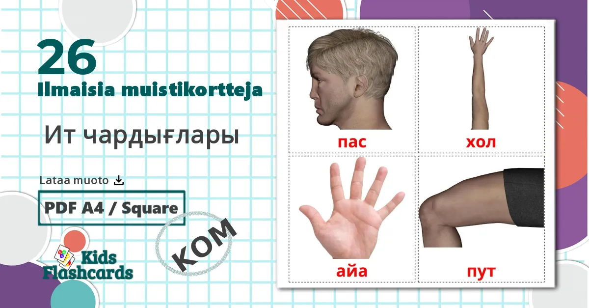 26  Ит чардығлары lasten kuvakortit