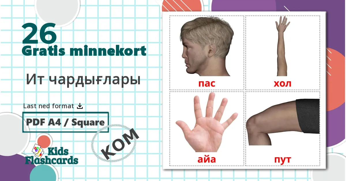 26  Ит чардығлары bildekort