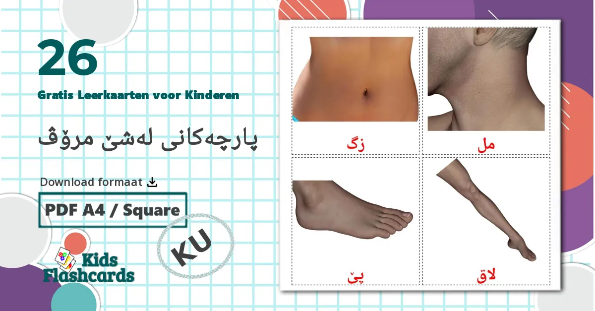 26 Lichaamsdelen Leerkaarten voor kinderen