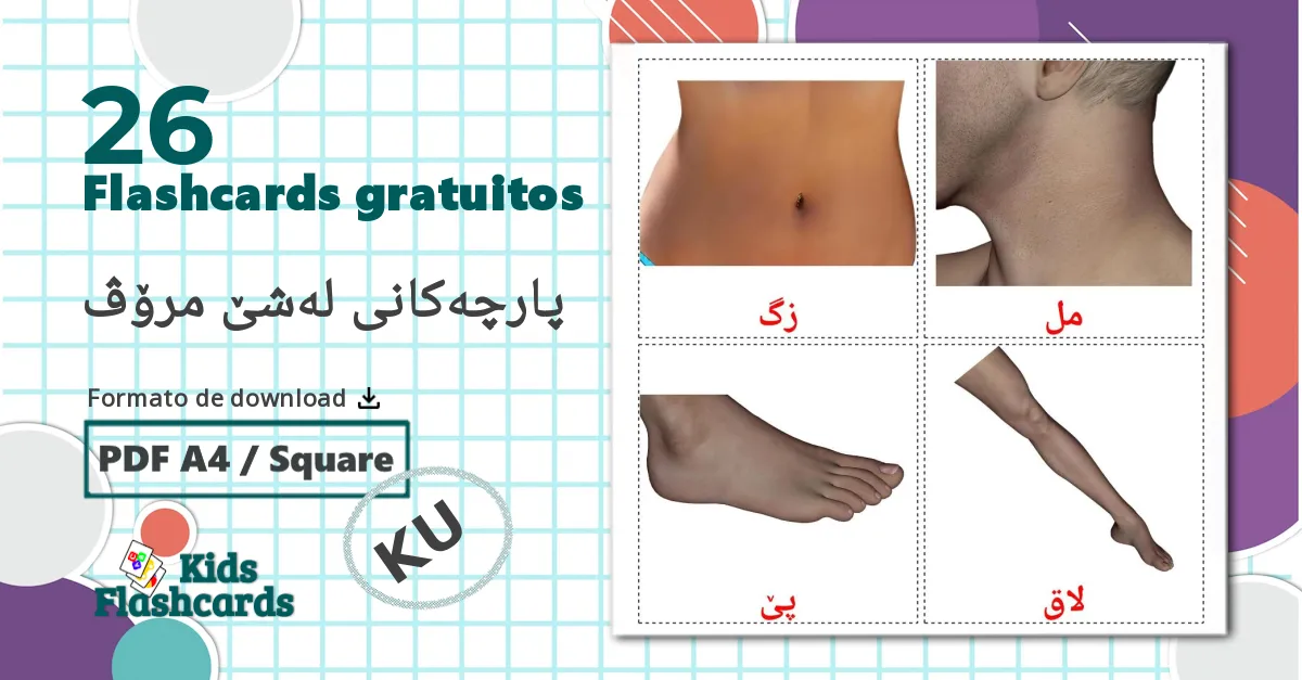 26 Flashcards de Partes do Corpo