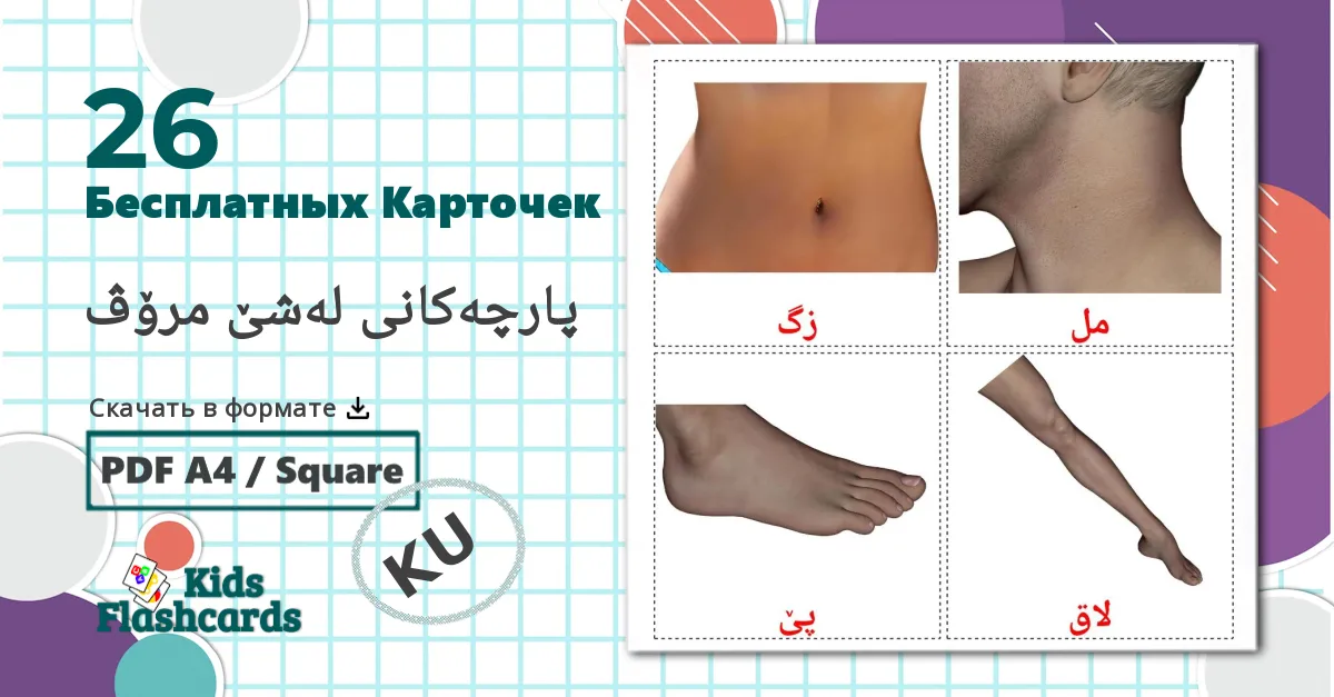 26 Карточки Домана Части тела