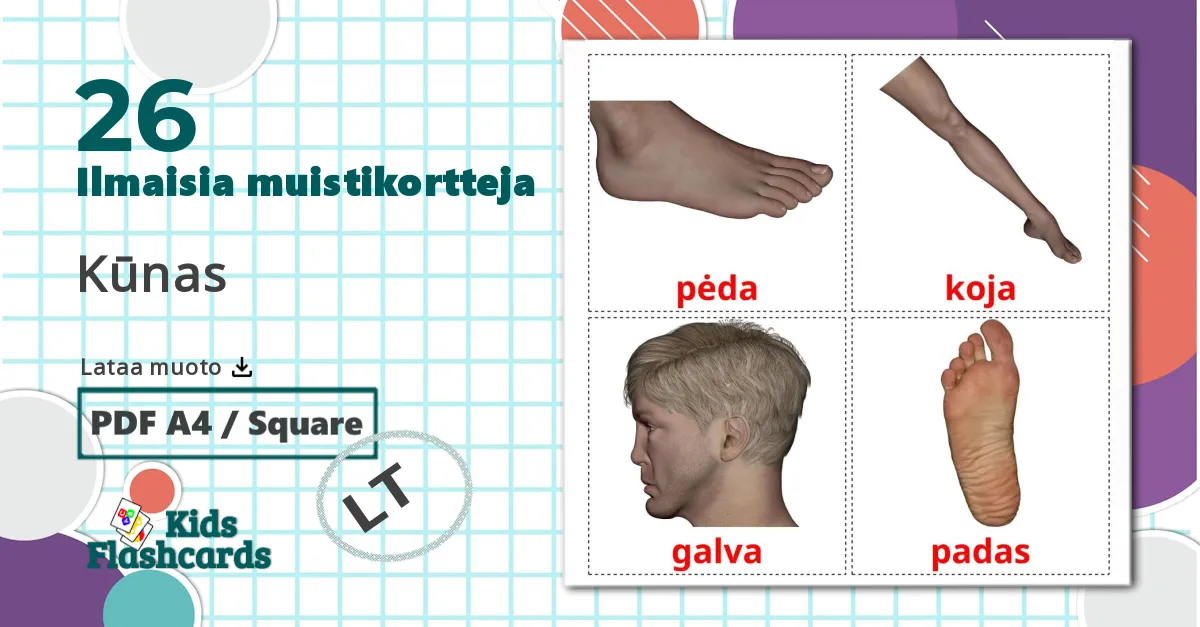 26 Kūnas  lasten kuvakortit