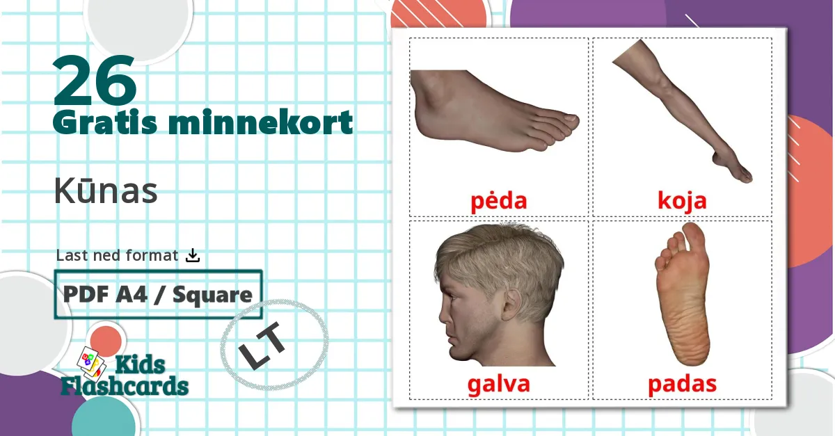 26 Kūnas  bildekort