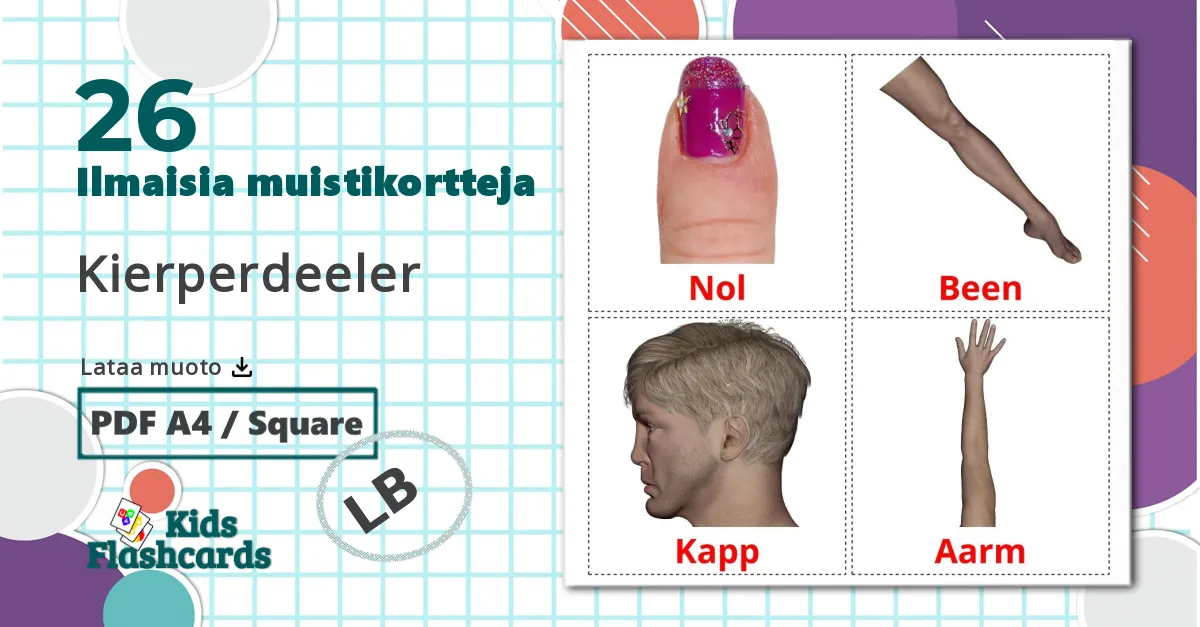 26 Kierperdeeler lasten kuvakortit