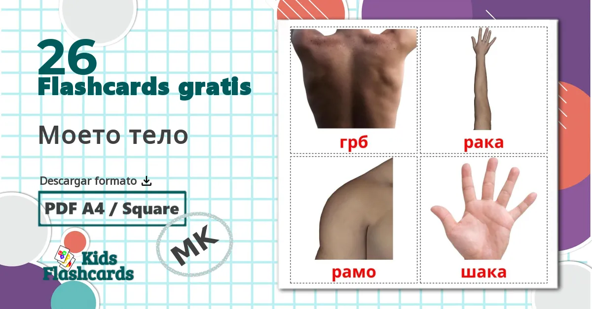 26 tarjetas didacticas de Partes del Cuerpo