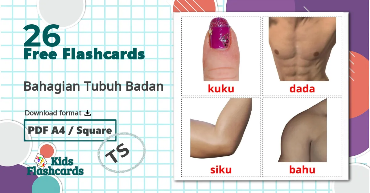 26 Bahagian Tubuh Badan flashcards