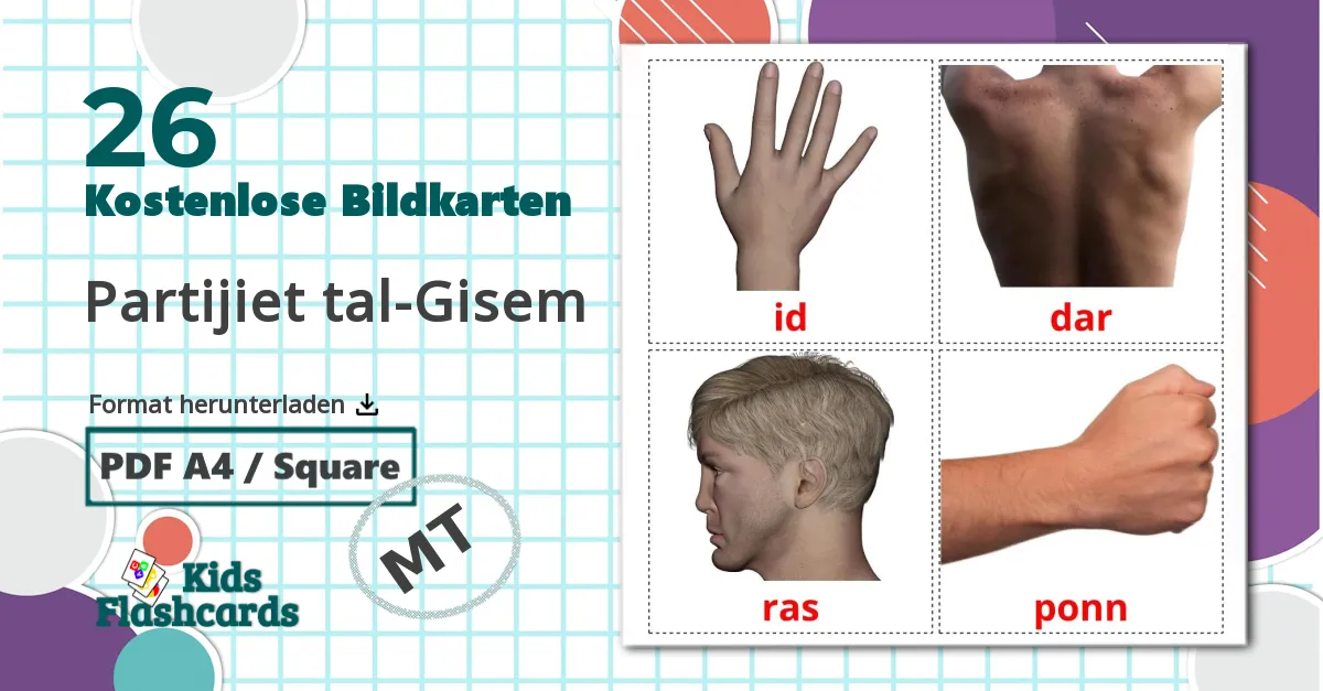 26 Bildkarten für Partijiet tal-Gisem