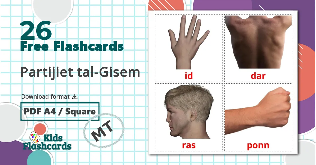 26 Partijiet tal-Gisem flashcards