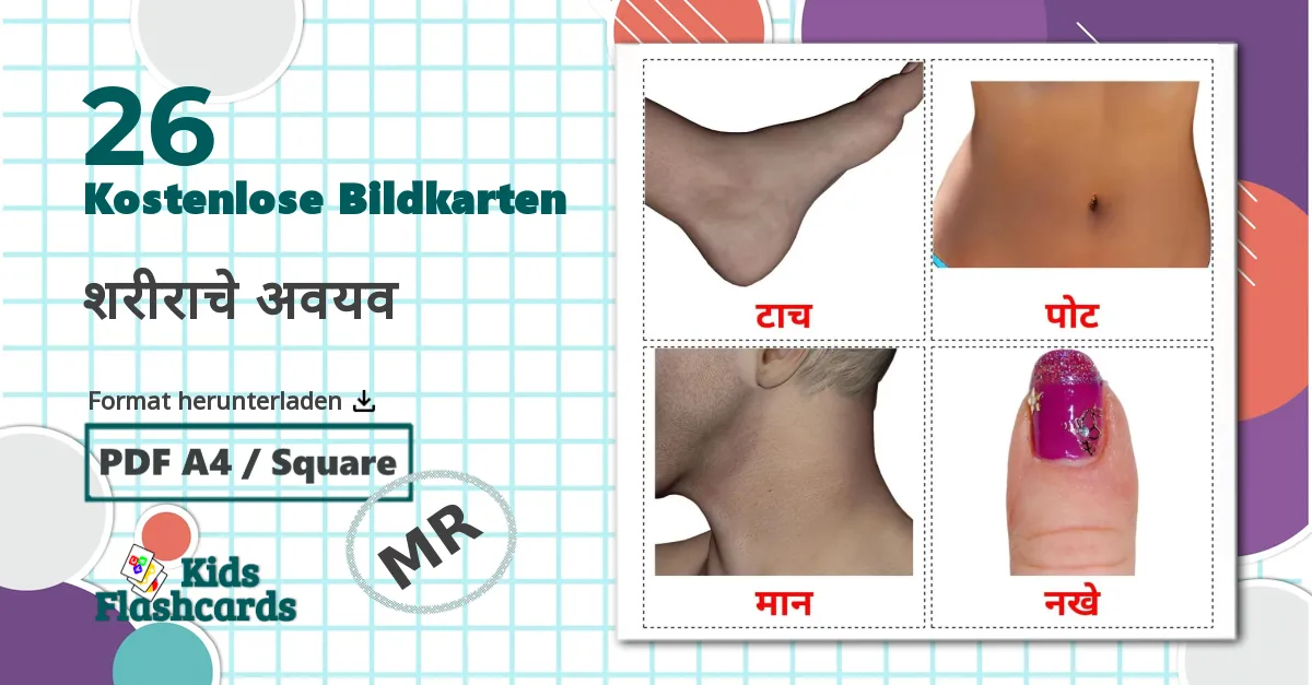 26 Bildkarten für शरीराचे अवयव