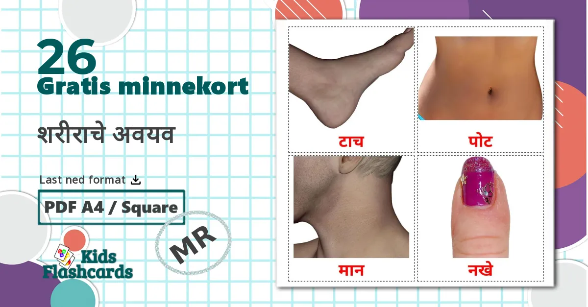 26 शरीराचे अवयव  bildekort