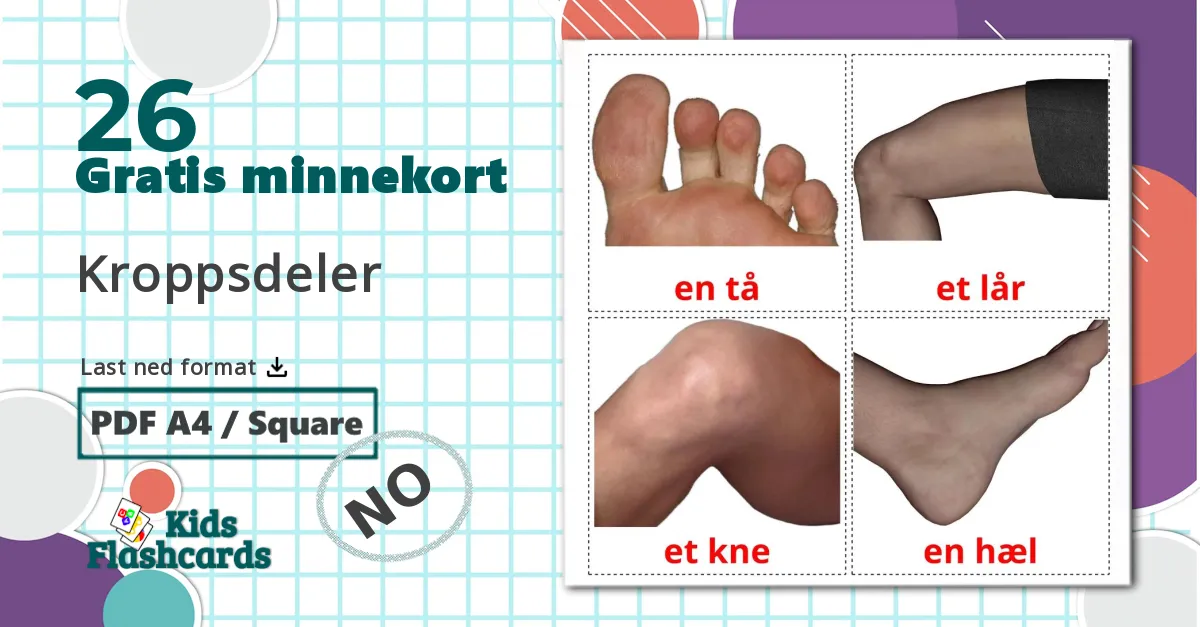 26 Kroppsdeler bildekort