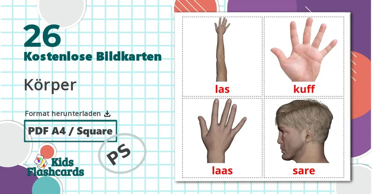 26 Bildkarten für Körper