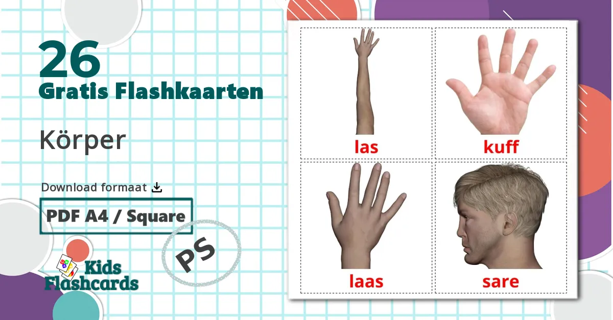 26 Lichaamsdelen Leerkaarten voor kinderen