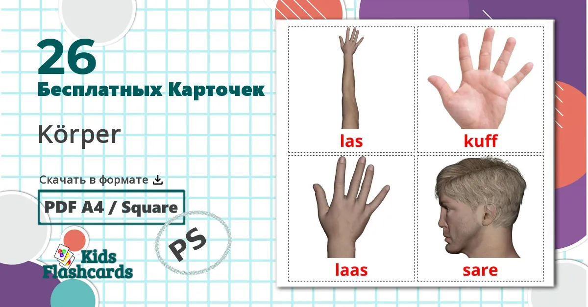 26 Карточки Домана Körper