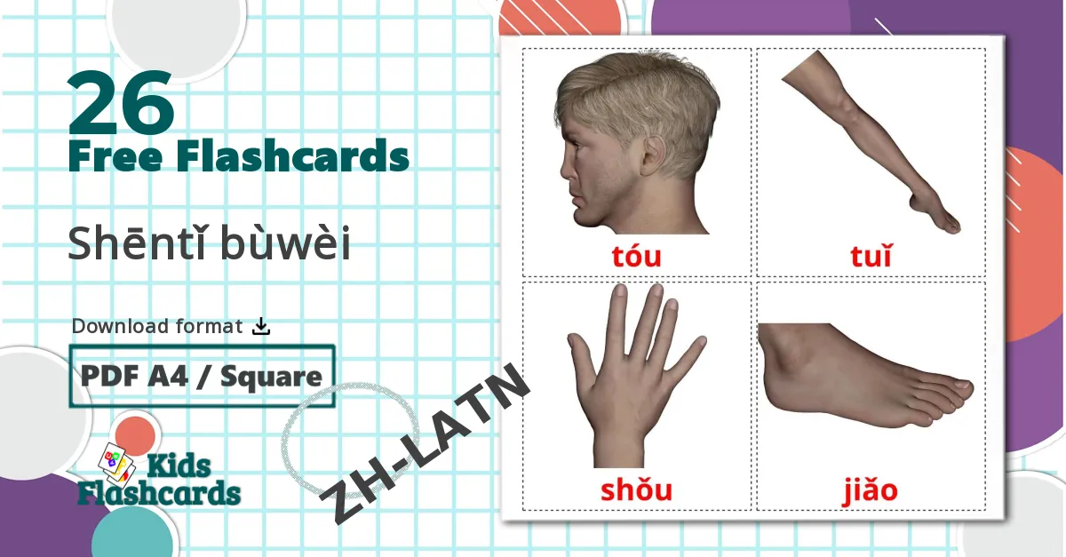 26 Body Parts flashcards