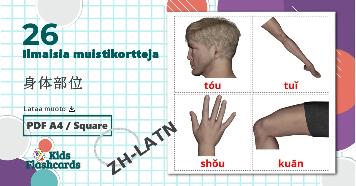 26 Kehon osat lasten kuvakortit