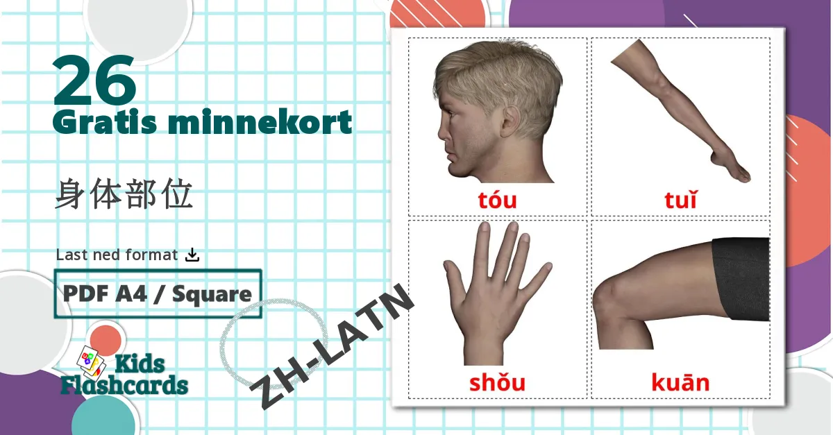 26 Kroppsdeler bildekort