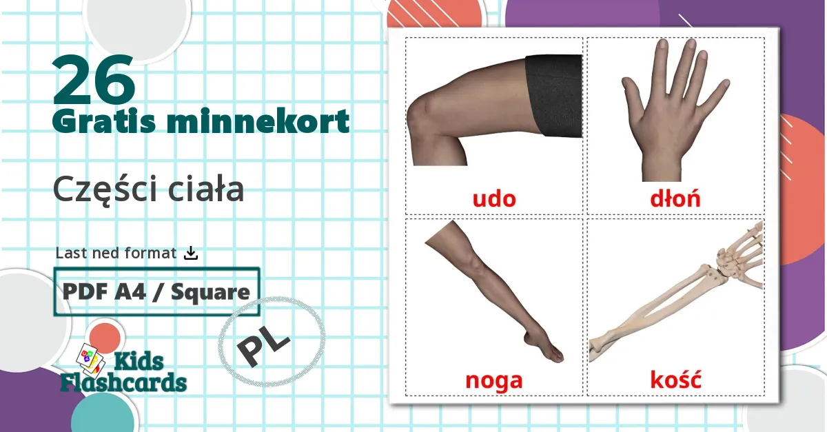 26 Części ciała bildekort