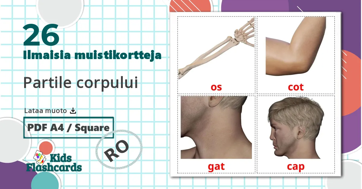 26 Partile corpului lasten kuvakortit