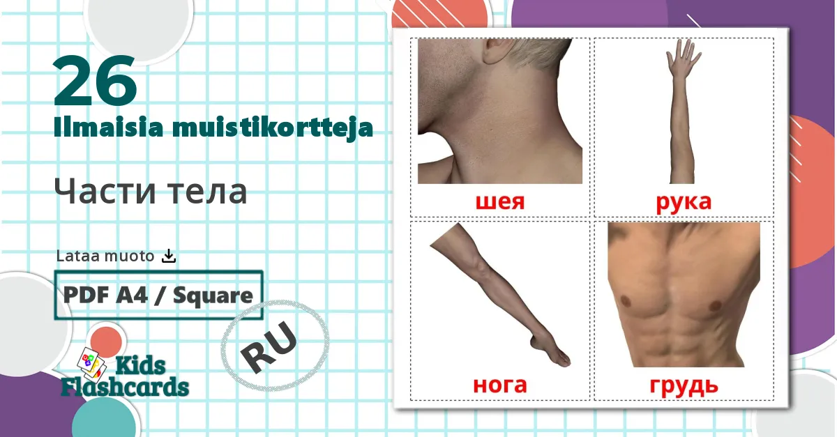 26 Части тела lasten kuvakortit