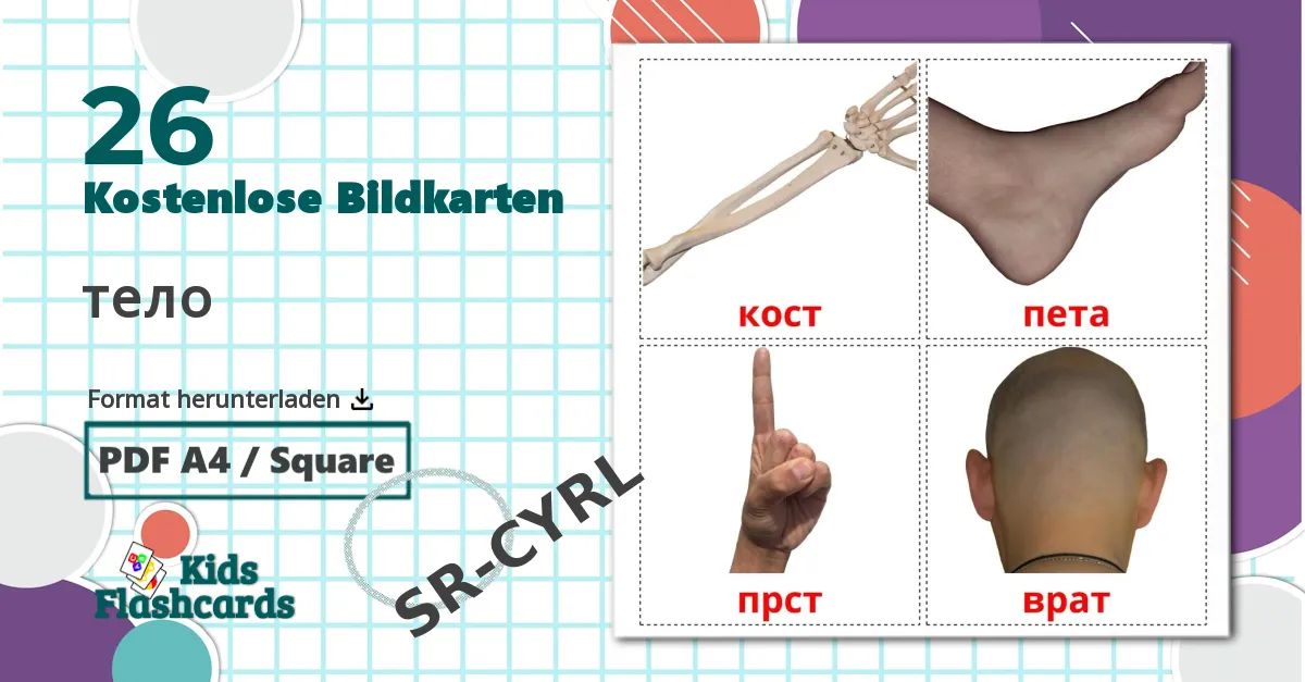 26 Bildkarten für тело