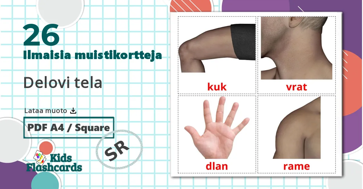 26 Delovi tela lasten kuvakortit