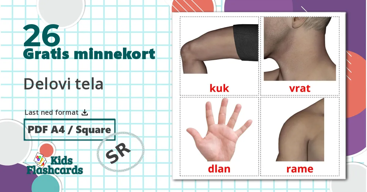 26 Delovi tela bildekort