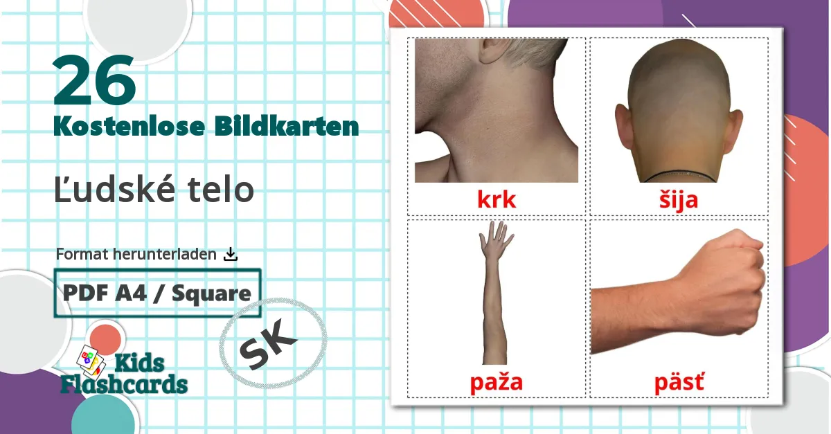 26 Bildkarten für Ľudské telo