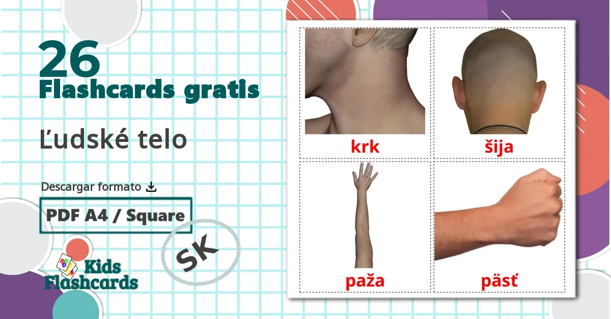 26 tarjetas didacticas de Partes del Cuerpo