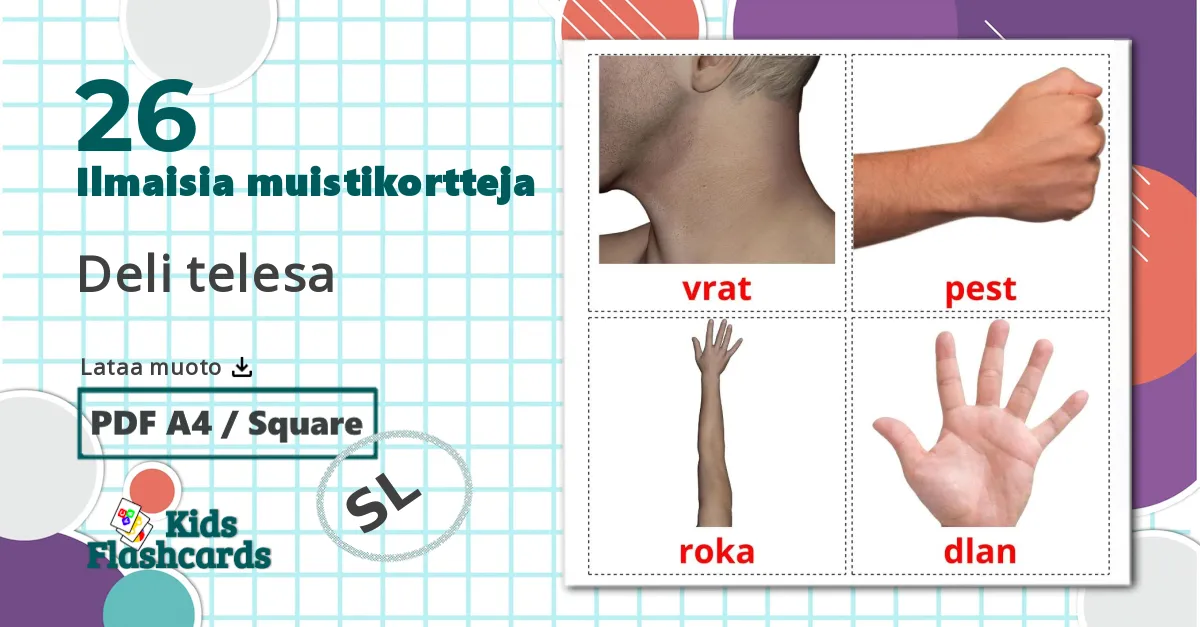 26 Deli telesa lasten kuvakortit