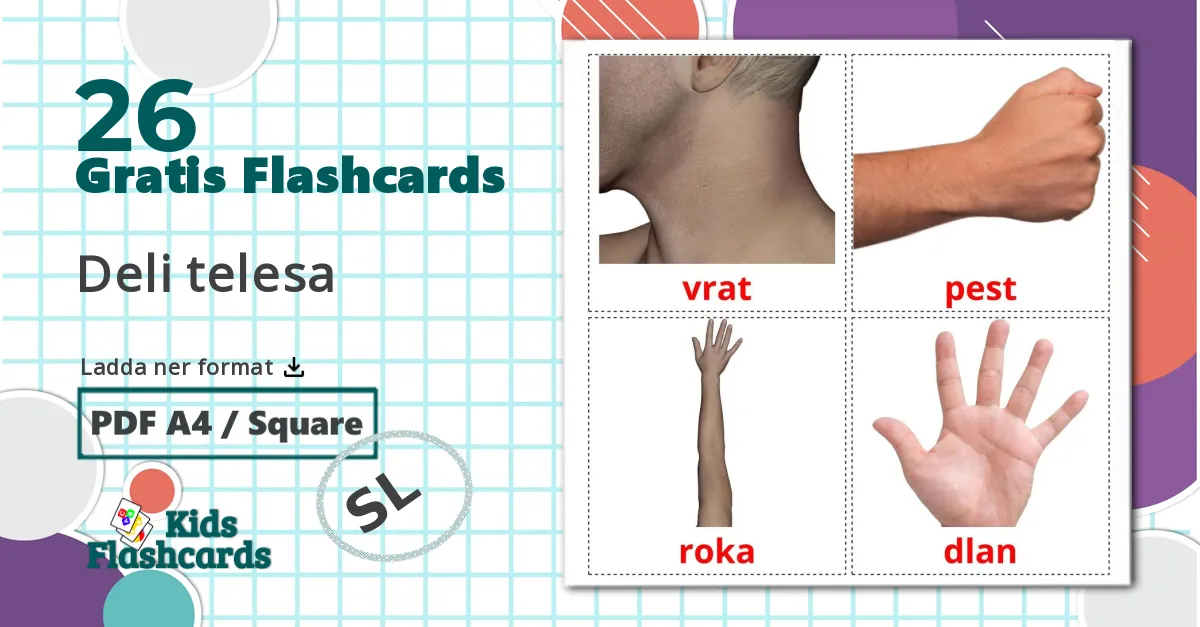 26 Deli telesa bildkort för barn