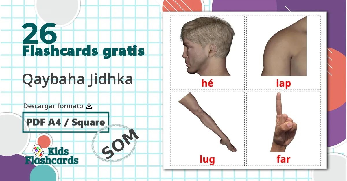 26 tarjetas didacticas de Partes del Cuerpo