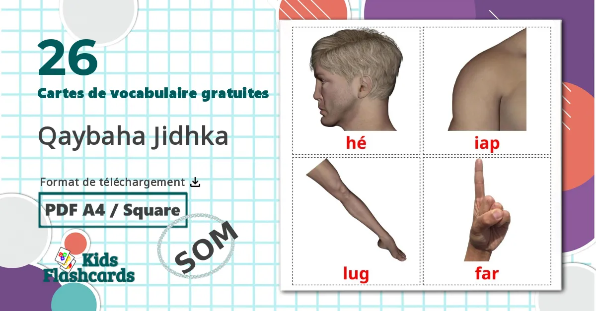 26 Imagiers Parties du Corps Humain