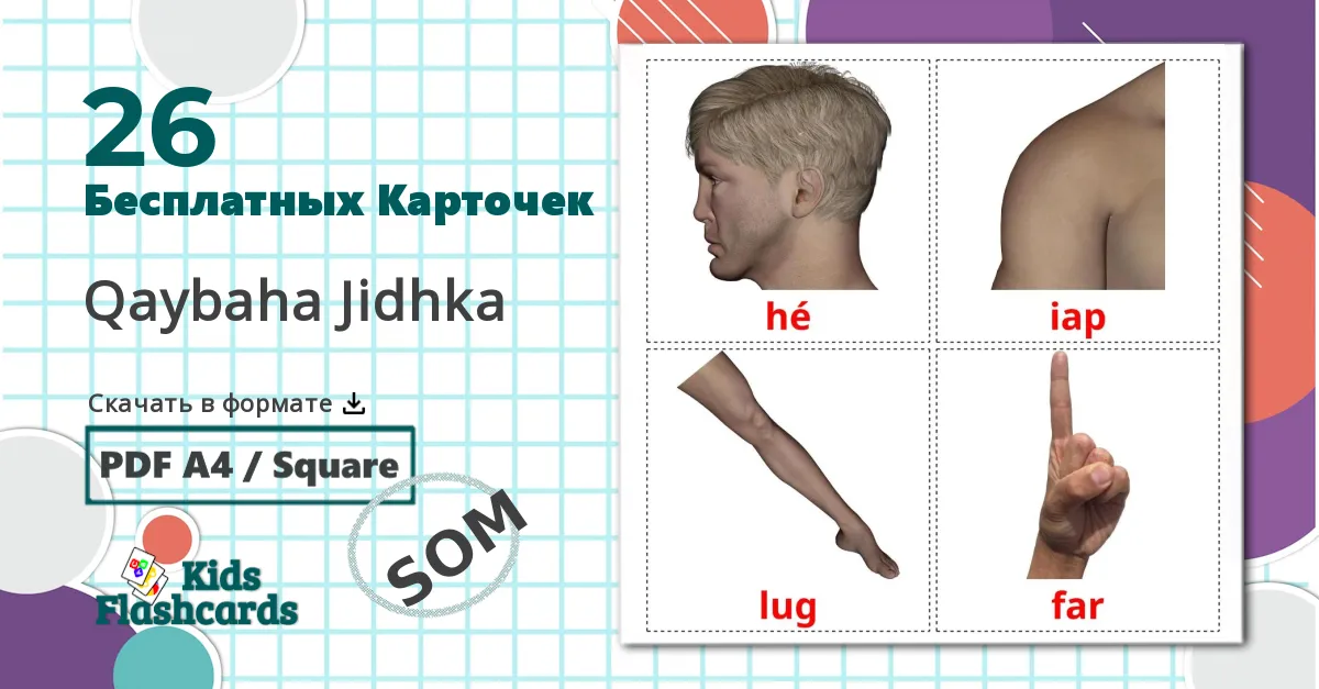 26 Карточки Домана Части тела