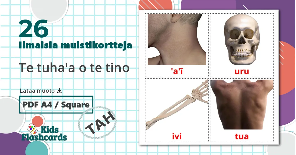 26 Te tuha'a o te tino lasten kuvakortit