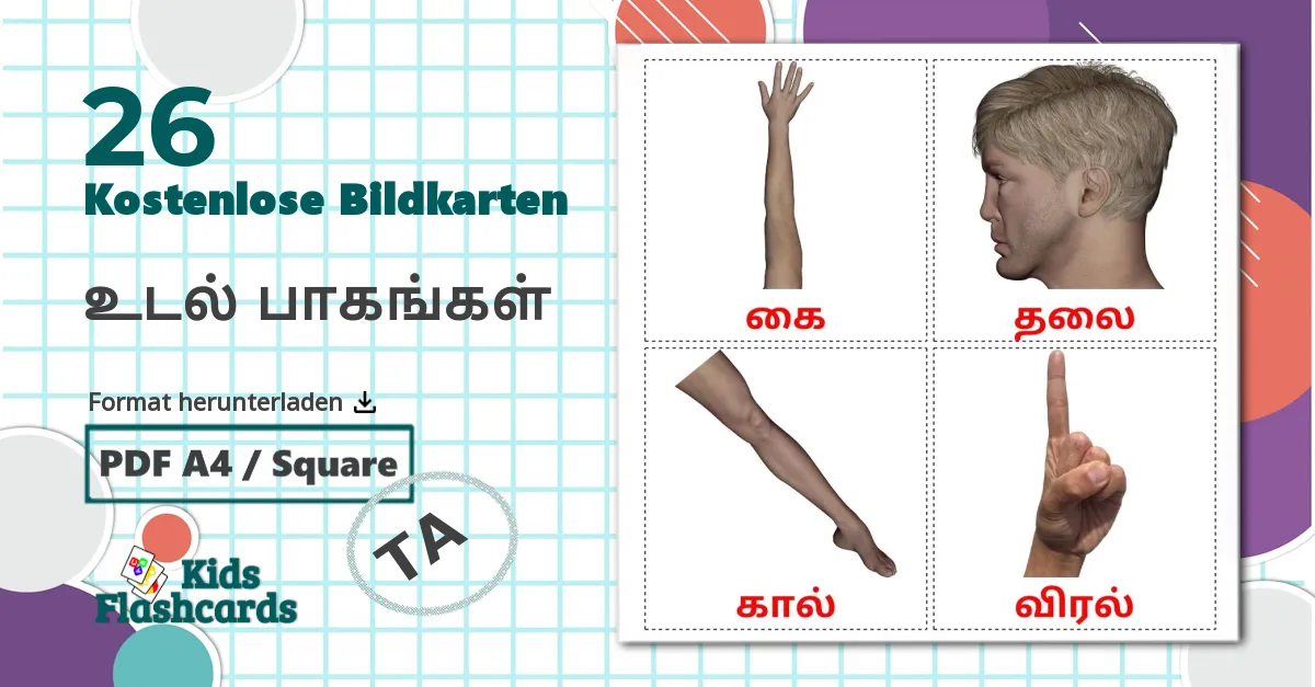 26 Bildkarten für உடல் பாகங்கள்