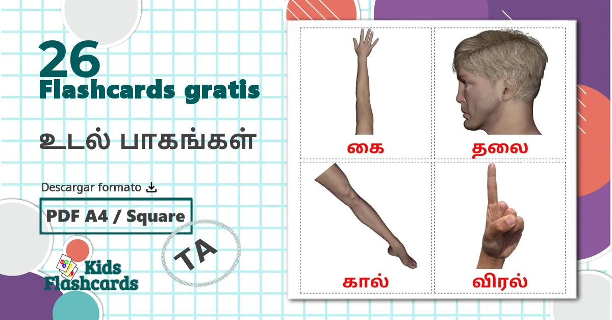 26 tarjetas didacticas de உடல் பாகங்கள்