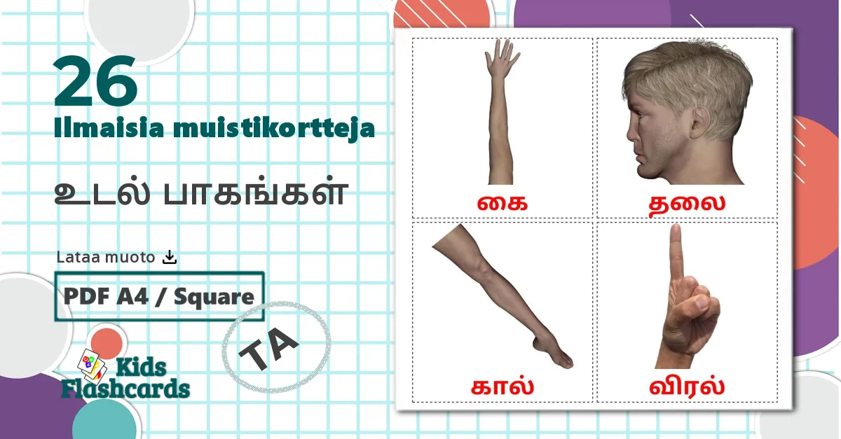 26 உடல் பாகங்கள் lasten kuvakortit