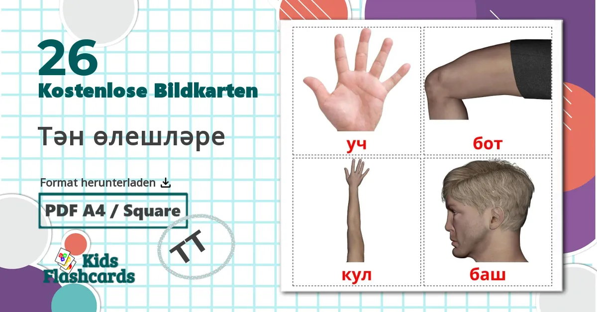 26 Bildkarten für Тән өлешләре