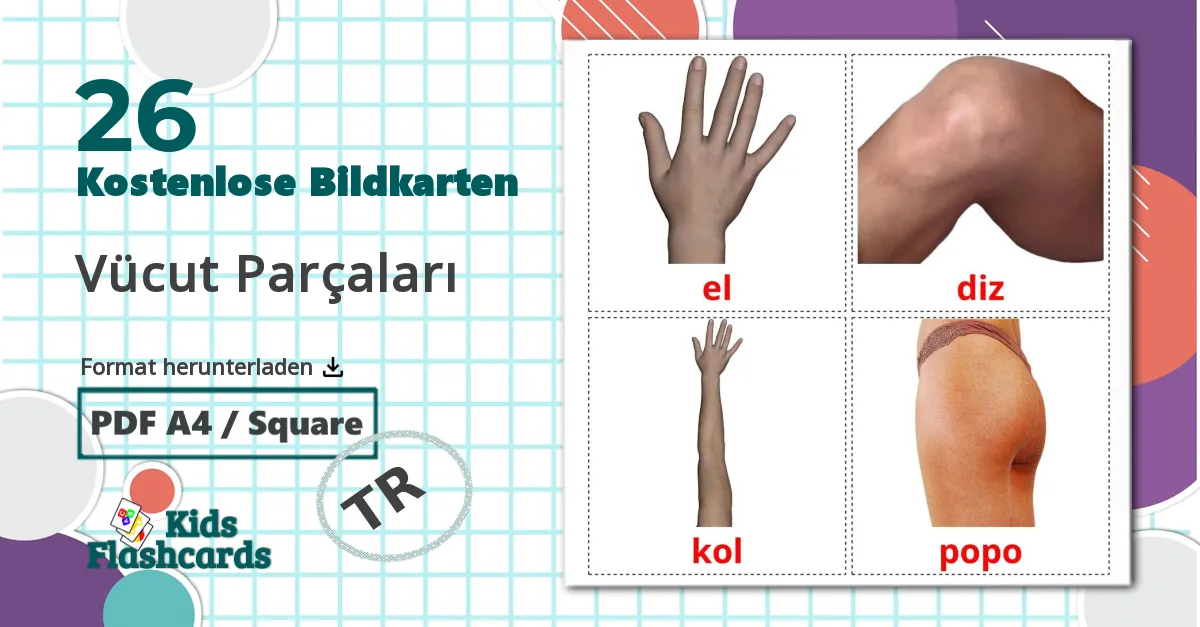 26 Bildkarten für Vücut Parçaları