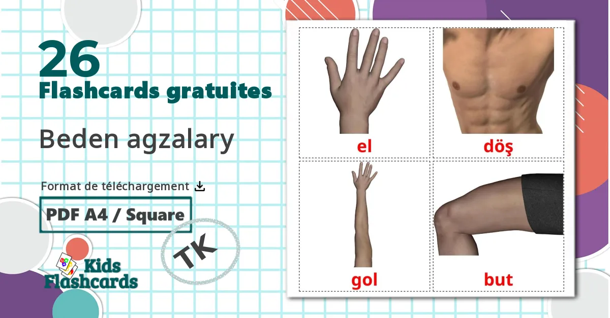 26 flashcards di Body Parts